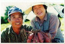 島津農園生産者写真